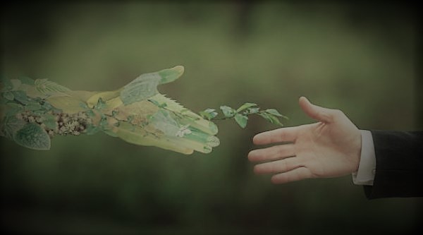 Logo Article Information 00